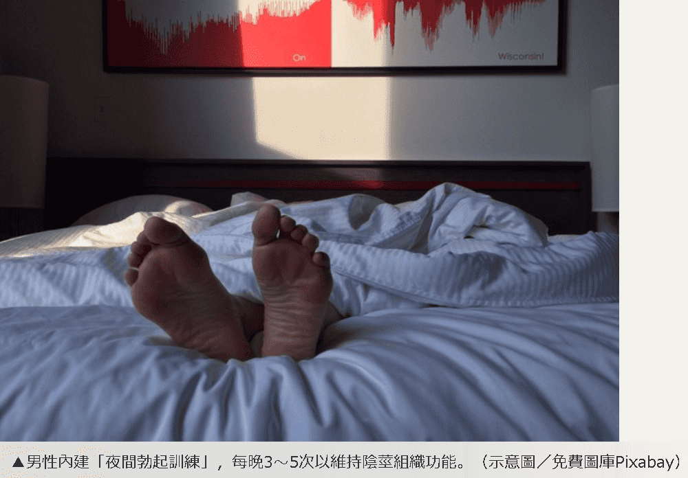 「夜間1訓練」保養GG！醫吐關鍵：每次硬挺20分鐘↑